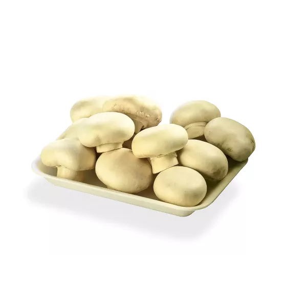 Bandeja 621 Liviana - 600/Bulto